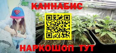стаф Малгобек