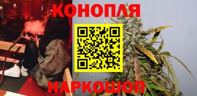 стаф Малгобек