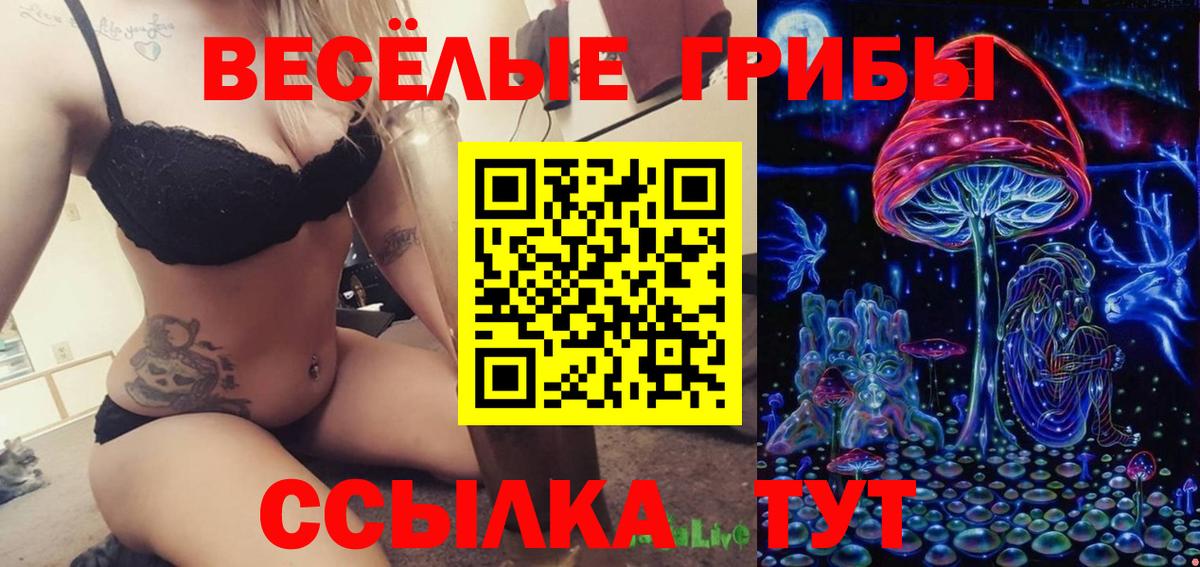 где можно купить   Галлюциногенные грибы ЛСД  Вход с VPN  Псилоцибиновые грибы MAGIC MUSHROOMS  Донской 
